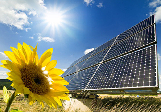 Motiv: Photovoltaik Solarmodul mit Sonnenblume